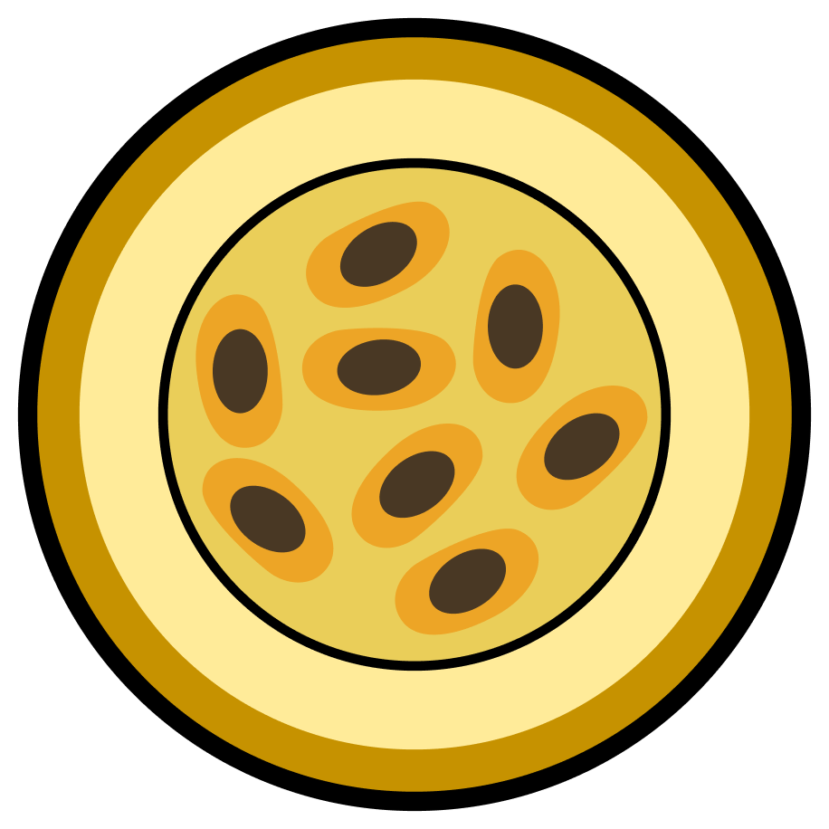 Passion Fruit