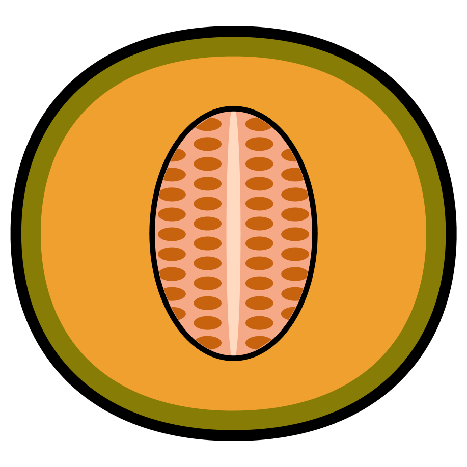 Melon